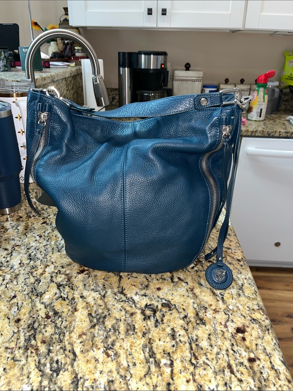 EUC Authentic Allison Scott Annette Pebbled Leather Hobo Handbag